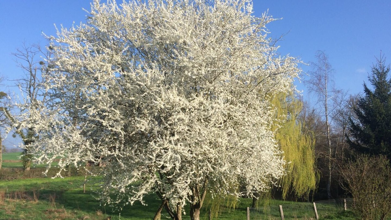 Photo of Others in Pouilloux