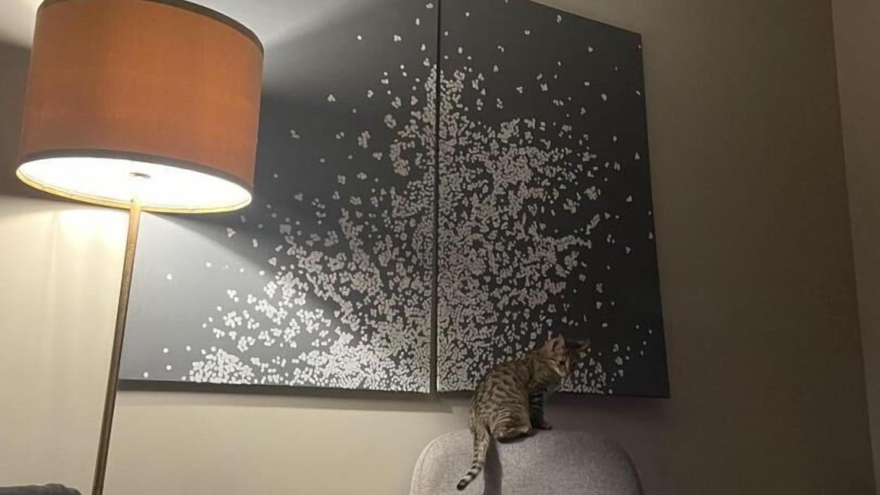 Photo of Others in Pouilloux