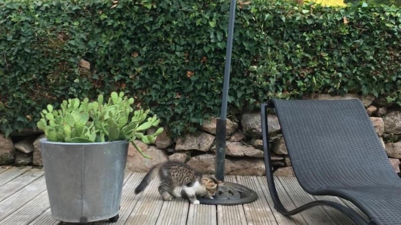 Photo of Outdoor in Pouilloux