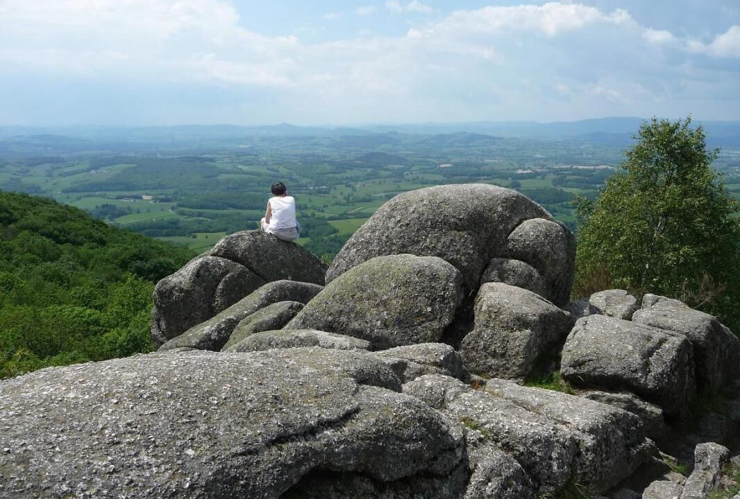 Photo of Others in Couches