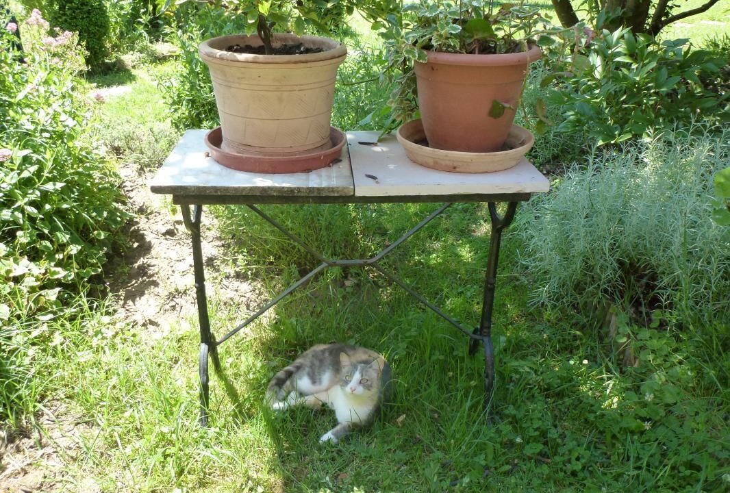 Photo of Outdoor in Prety