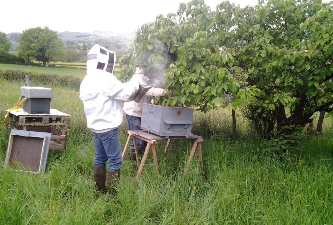 Photo of Outdoor in Genouilly
