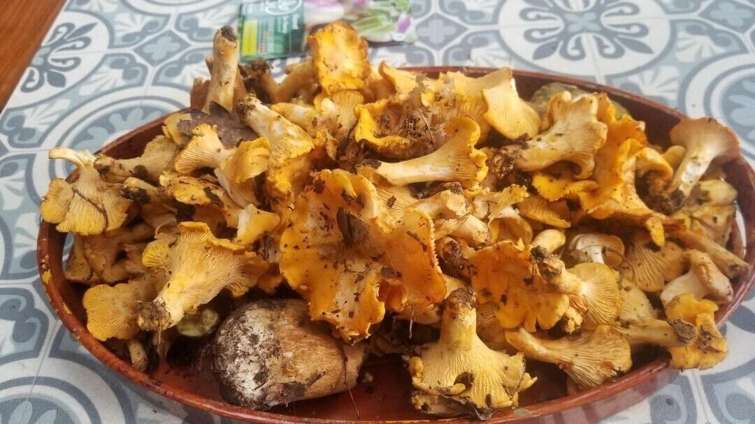 Photo of Others in Genouilly