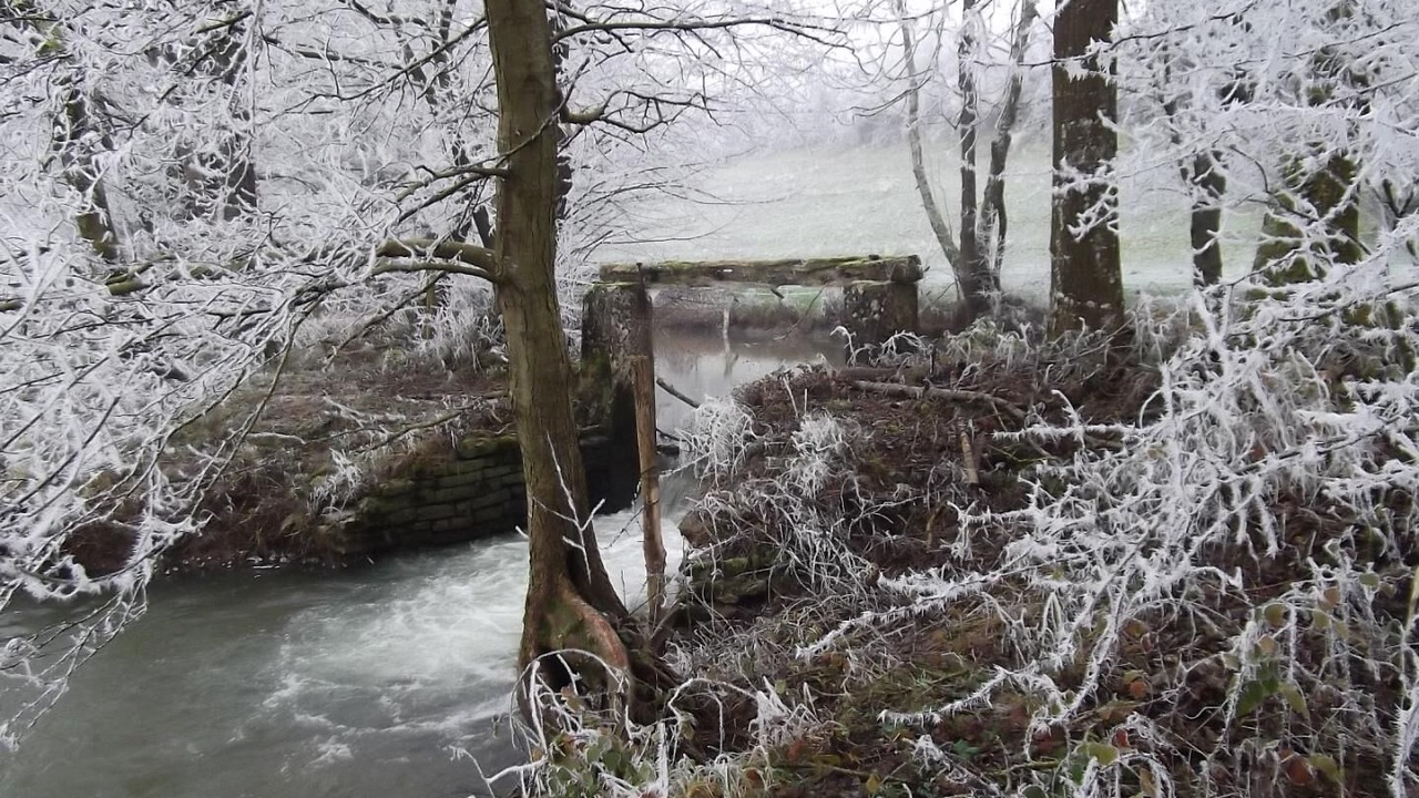 Photo of Others in Genouilly