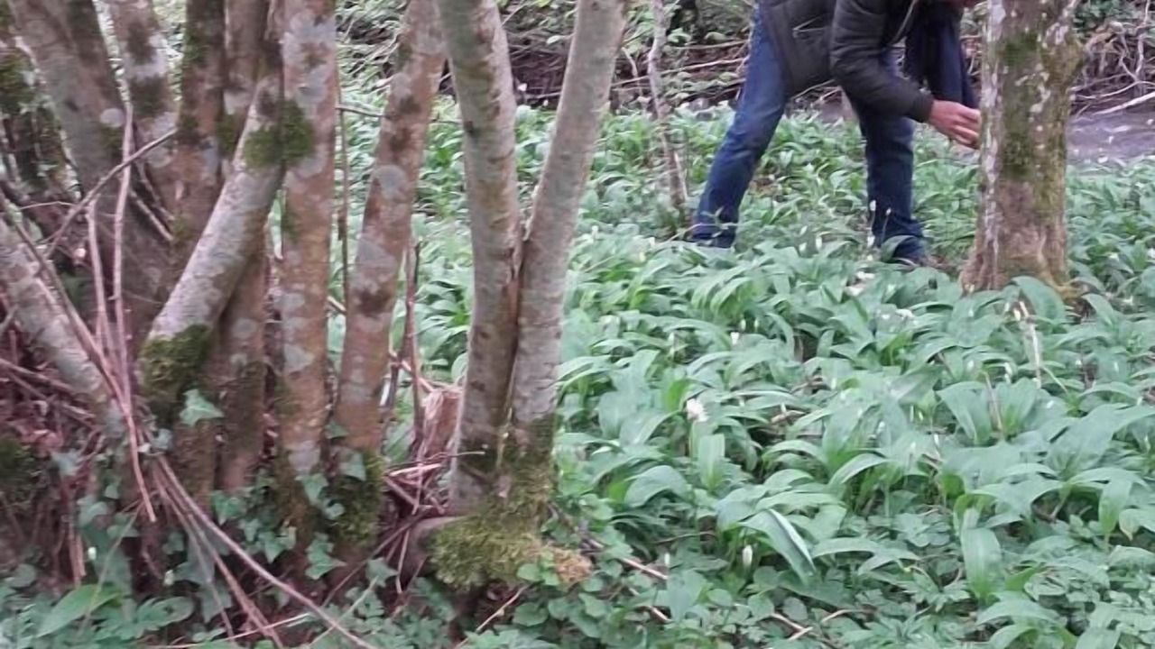 Photo of Others in Genouilly