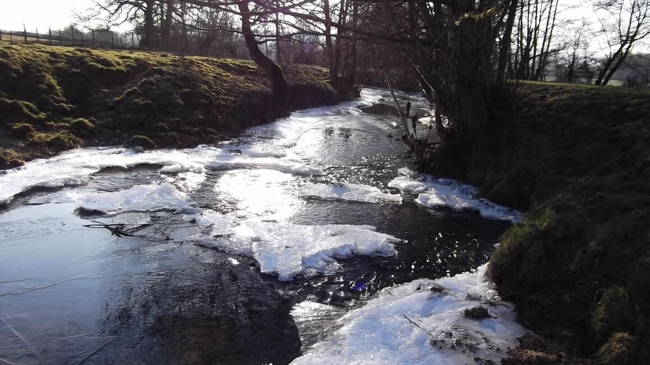 Photo of Others in Genouilly