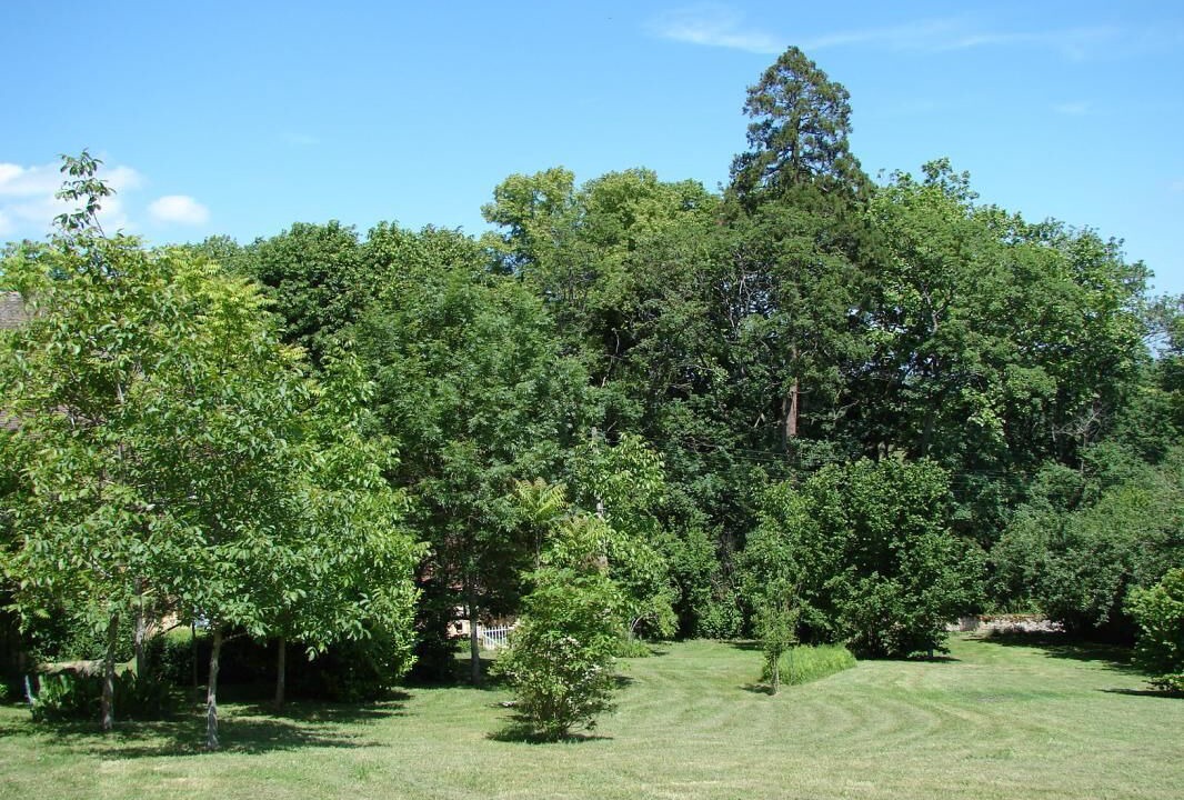 Photo of Others in Buxy