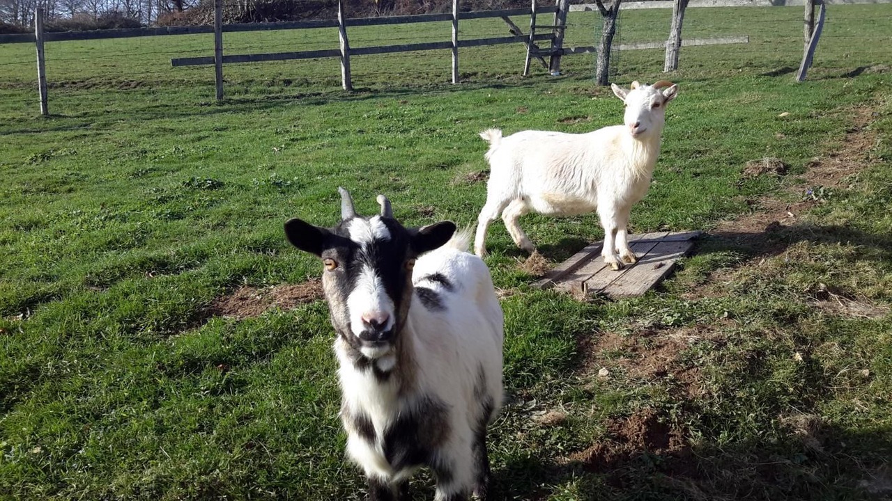 Photo of Others in Matour