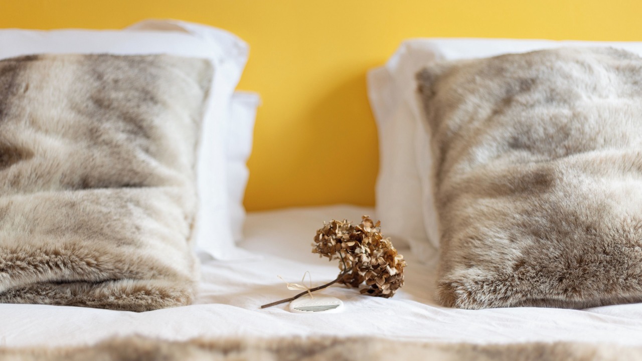 Photo of Bedroom in Gouy-Saint-Andre