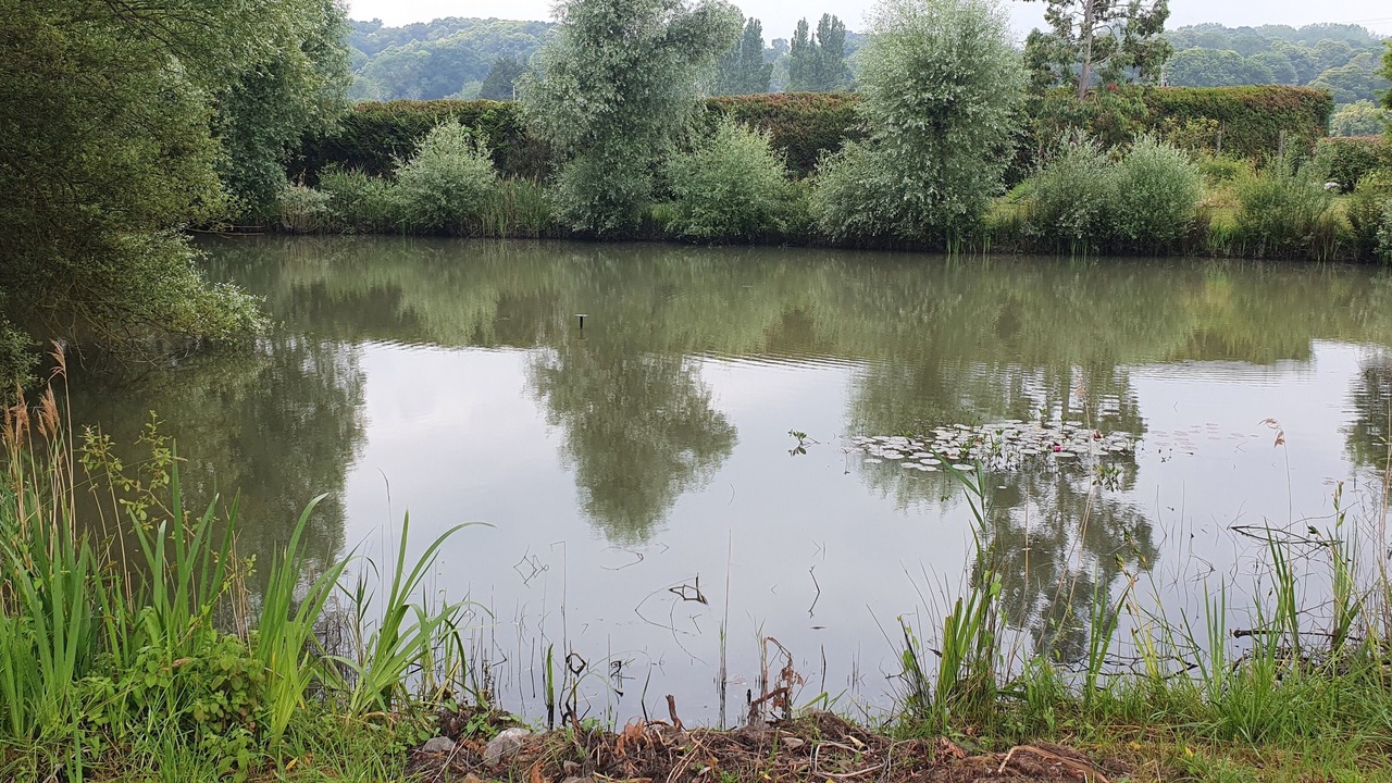 Photo of Others in Saint-Georges-de-Grehaigne
