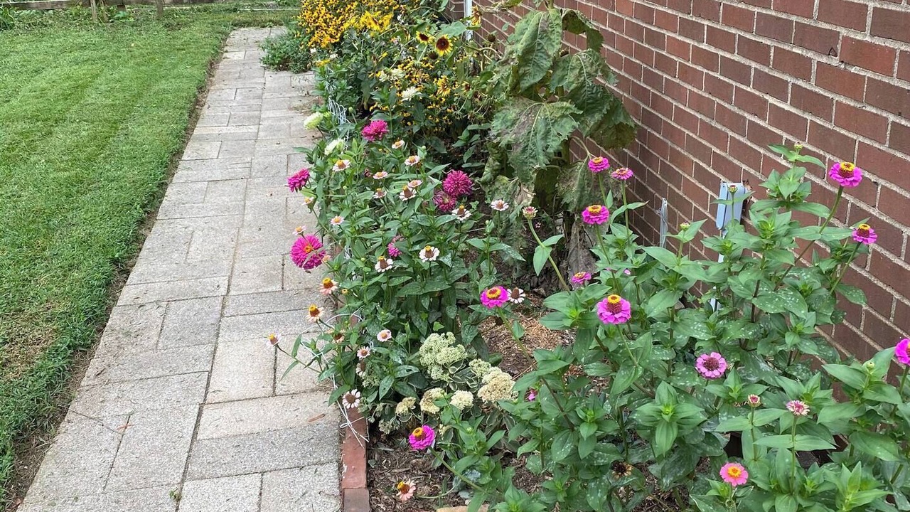 Photo of Outdoor in Turner Park