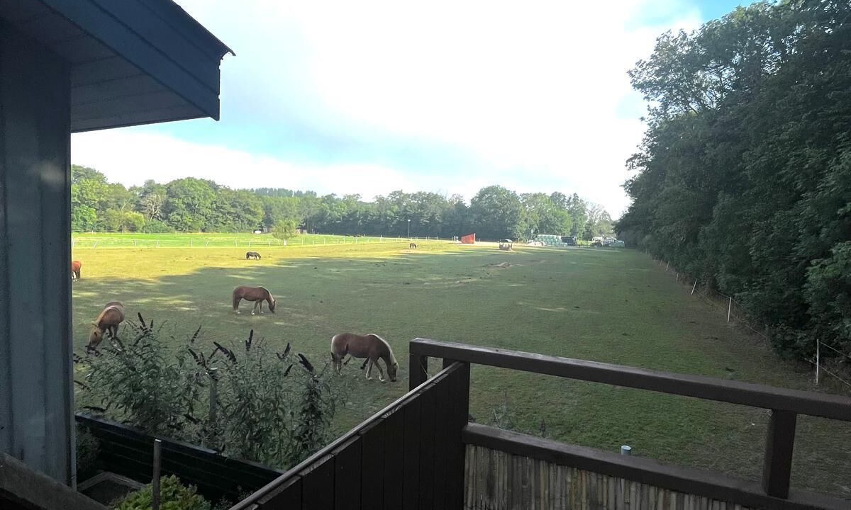 Photo of Outdoor in Sønderborg