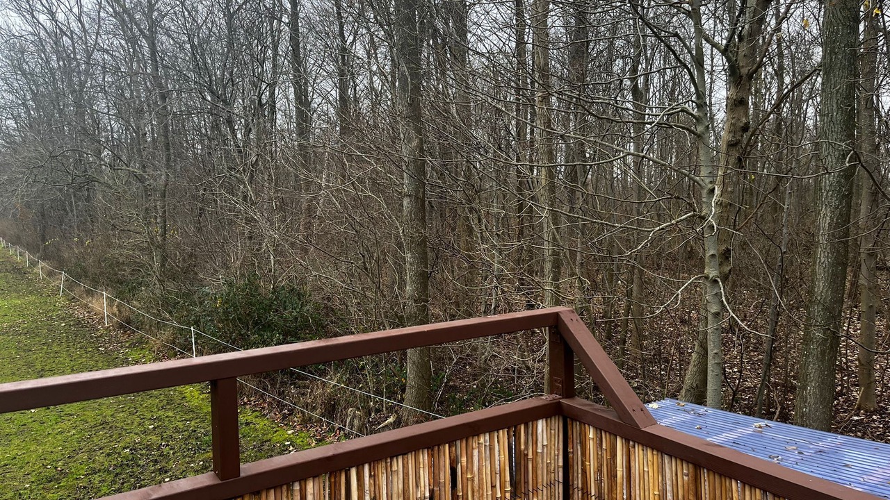 Photo of Outdoor in Sønderborg