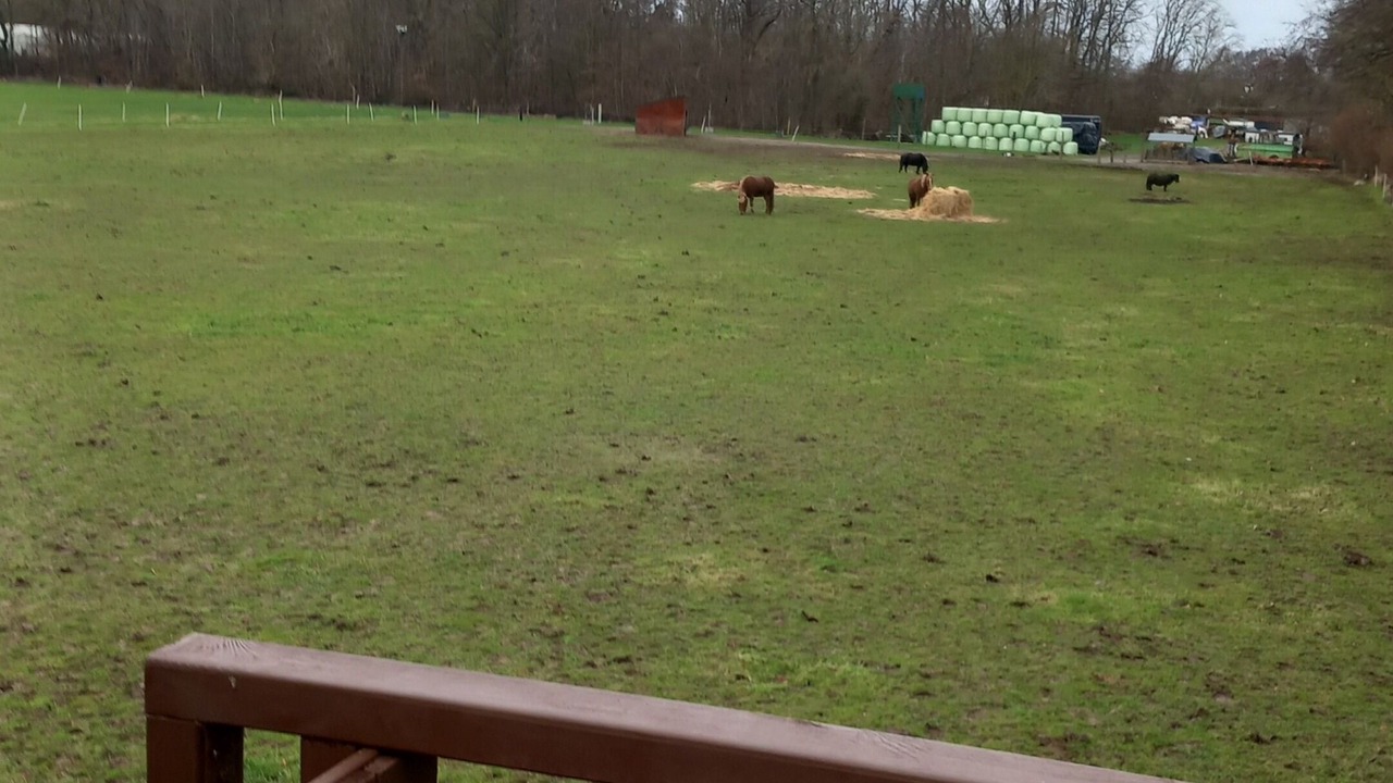 Photo of Outdoor in Sønderborg