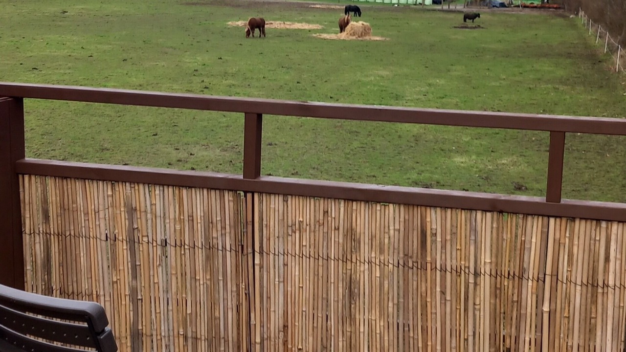 Photo of Outdoor in Sønderborg