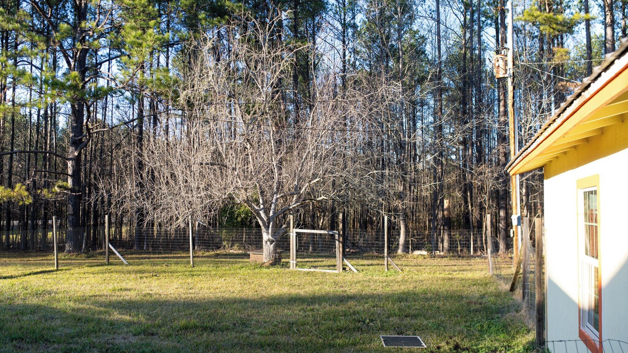 Photo of Outdoor in Starkville