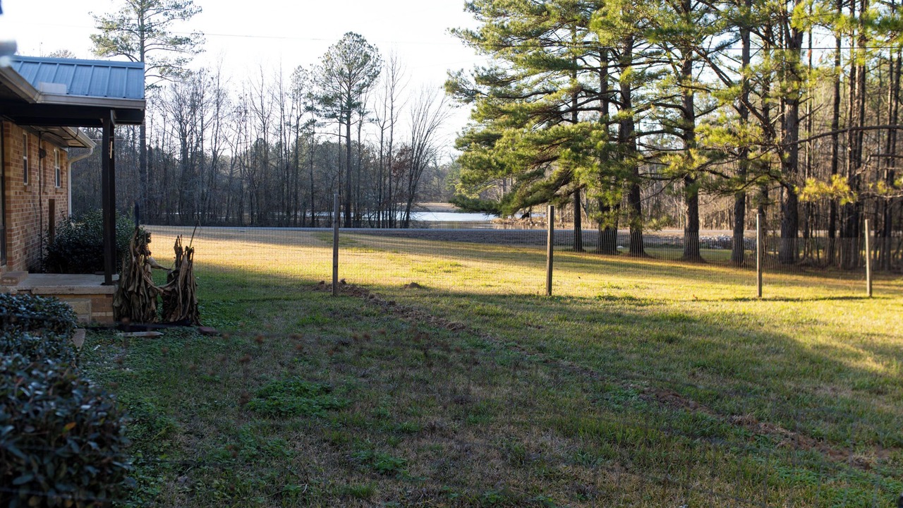Photo of Outdoor in Starkville