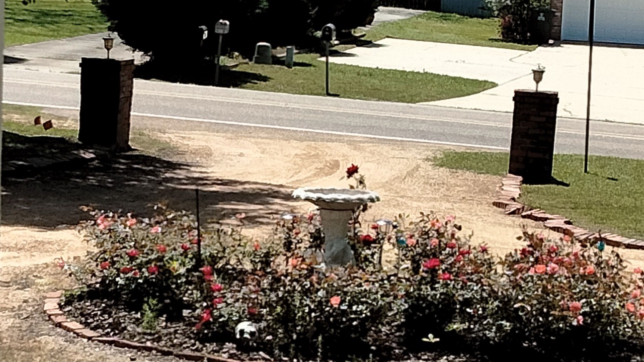 Photo of Outdoor in Ruston