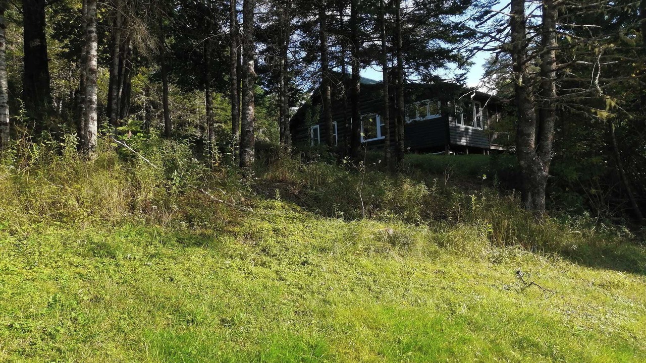 Photo of Outdoor in Onslow