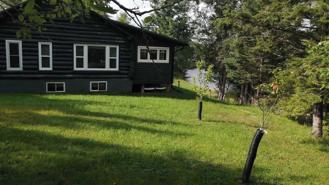 Photo of Outdoor in Onslow