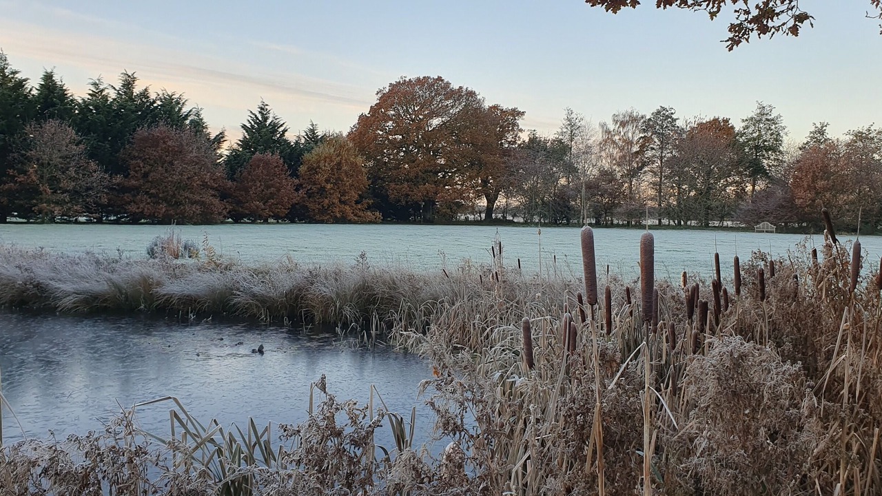 Photo of Outdoor in Diss