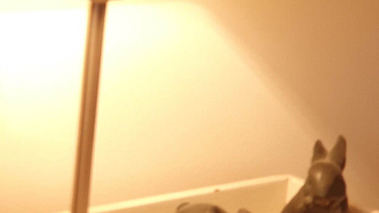 Photo of Others in Diss