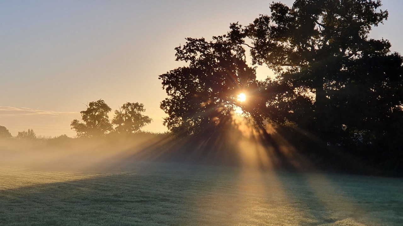 Photo of Others in Diss