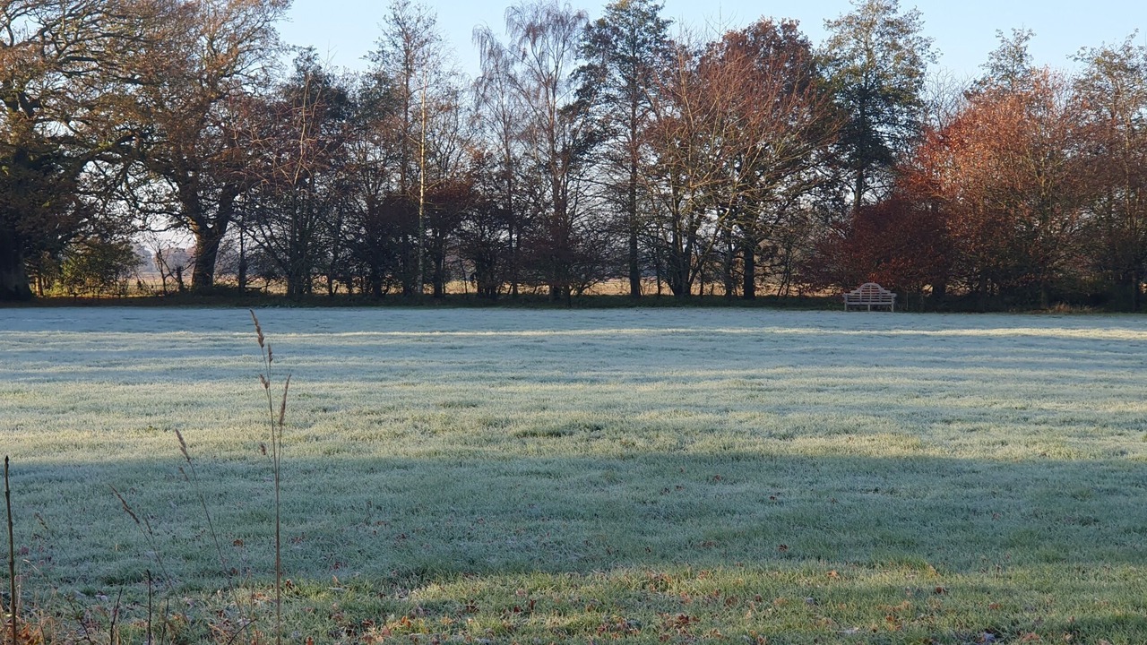 Photo of Others in Diss