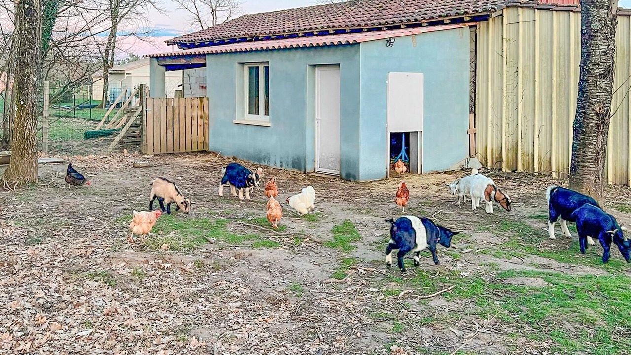 Photo of Others in Saint-Jean-d'Eyraud