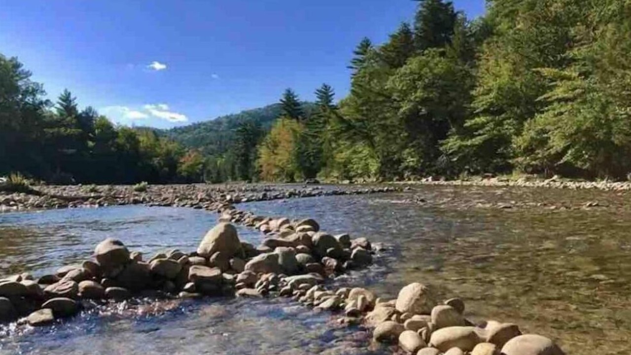 Photo of Others in Bartlett