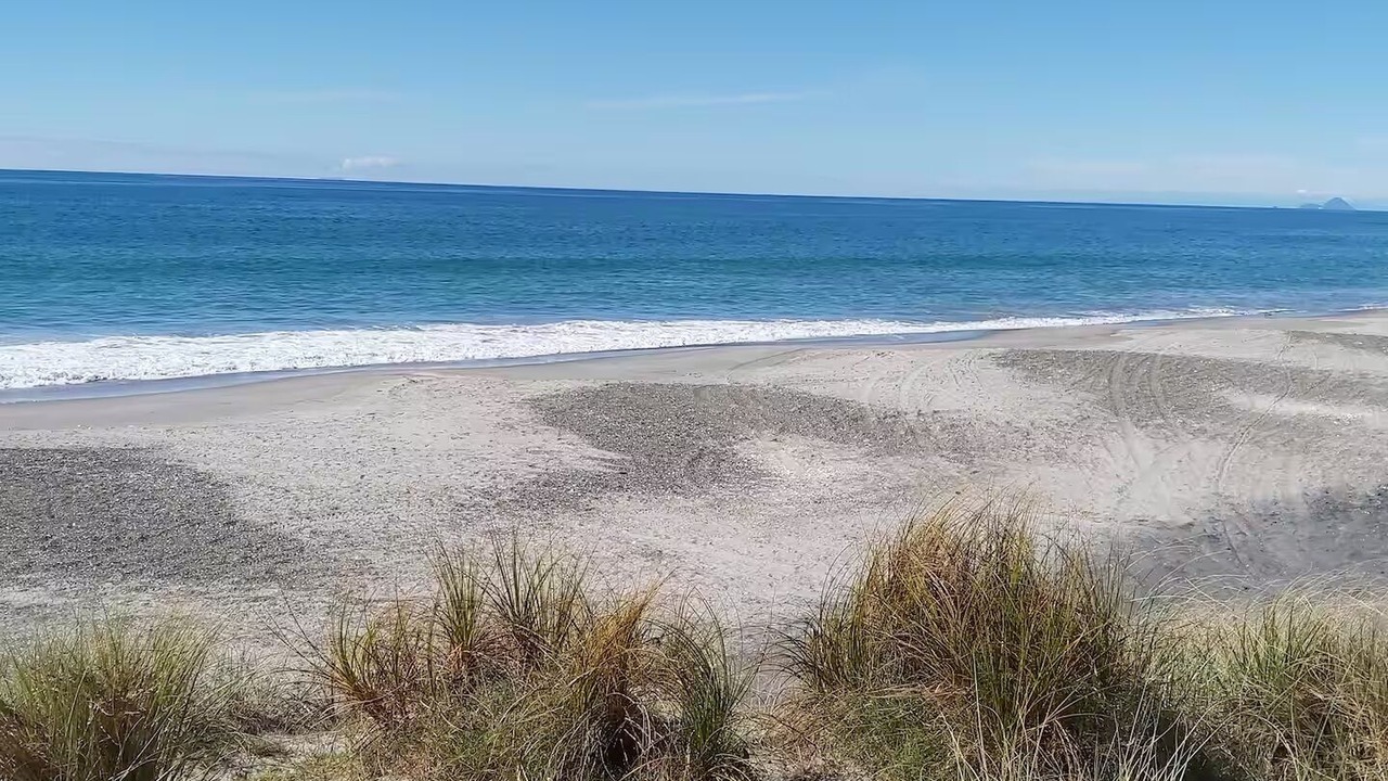 Photo of Others in Pukehina