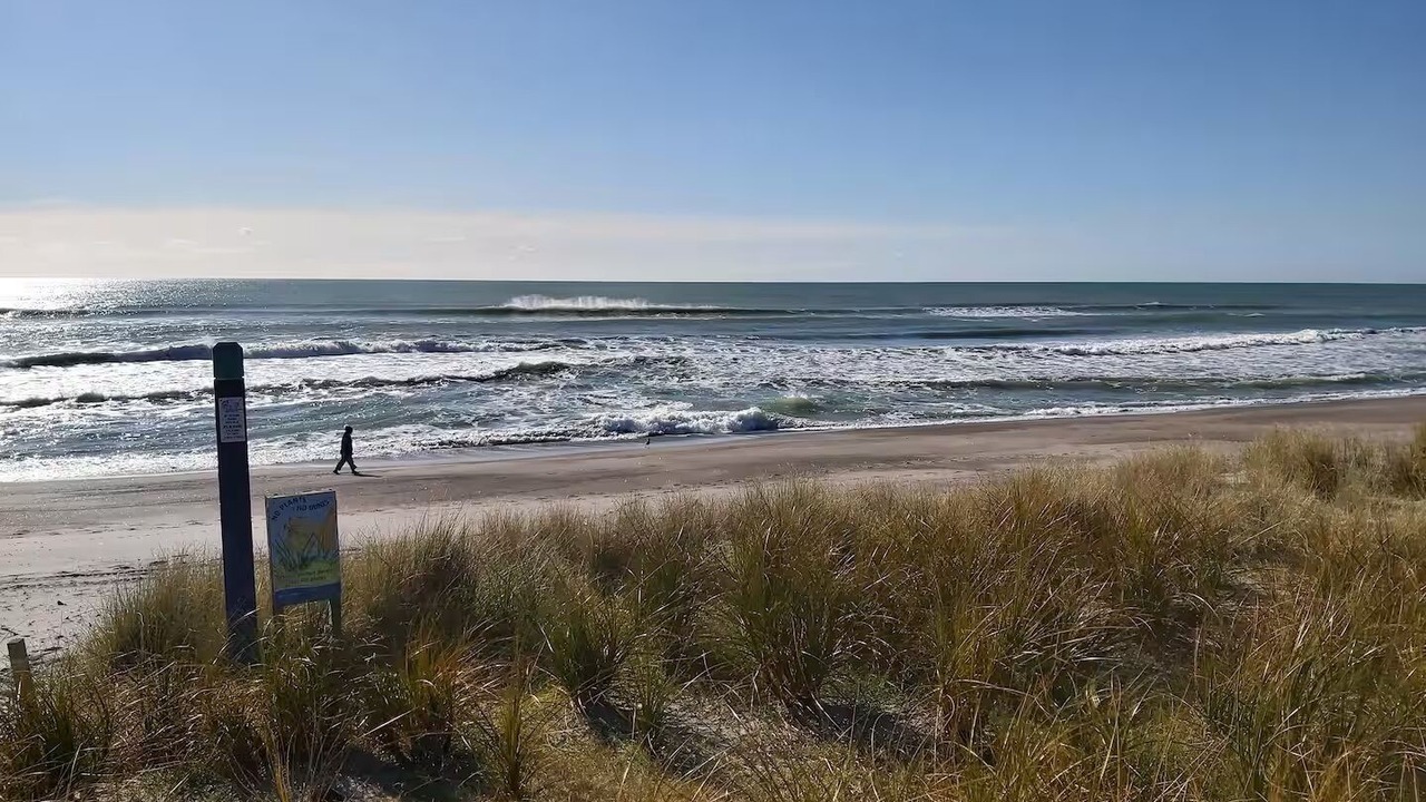 Photo of Others in Pukehina