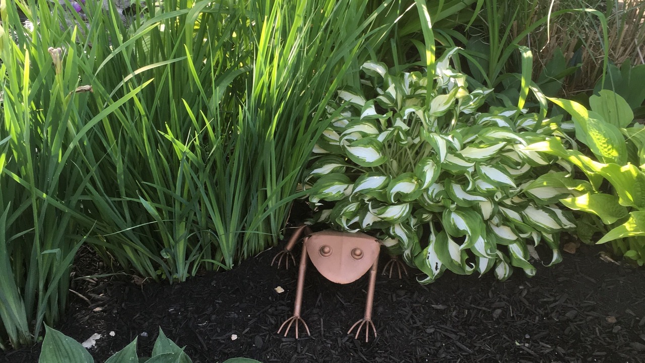 Photo of Outdoor in Madison