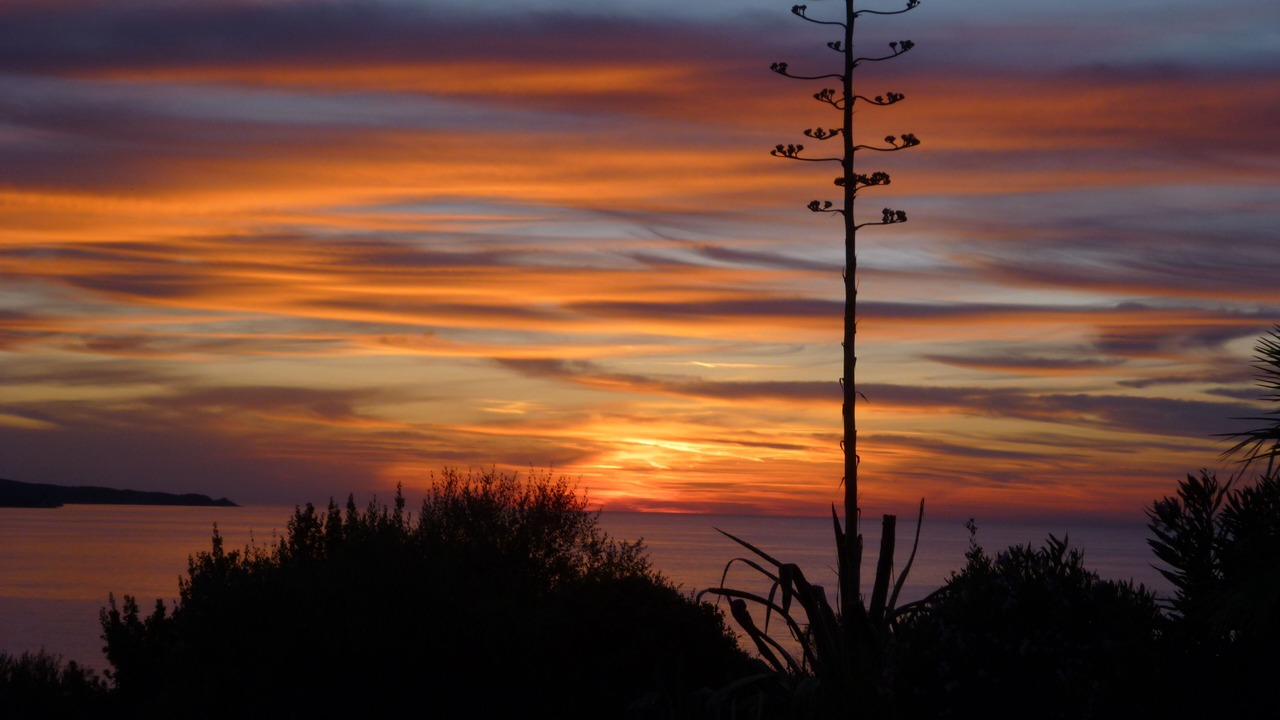 Photo of Others in Patrimonio