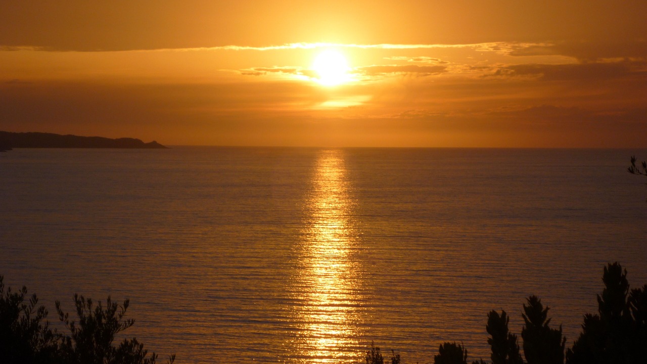 Photo of Others in Patrimonio