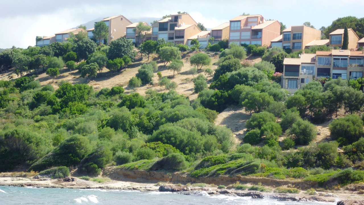 Photo of Others in Patrimonio