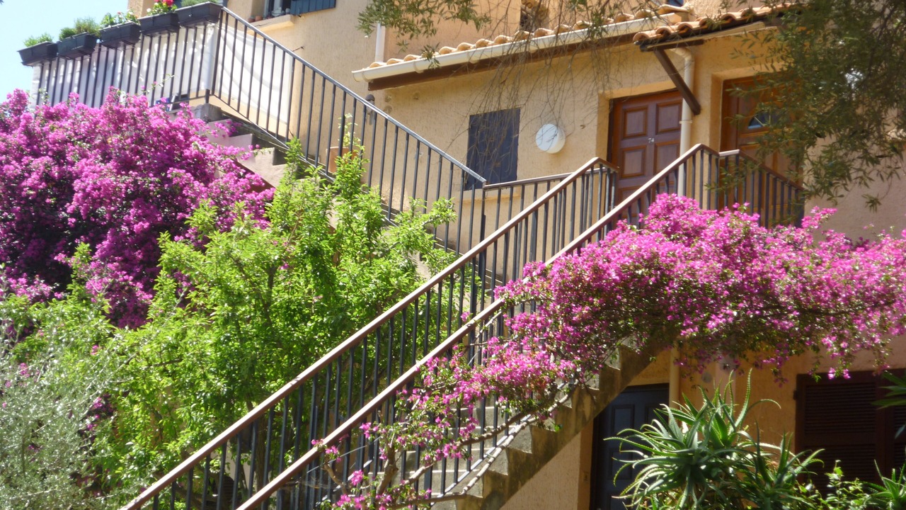 Photo of Outdoor in Patrimonio