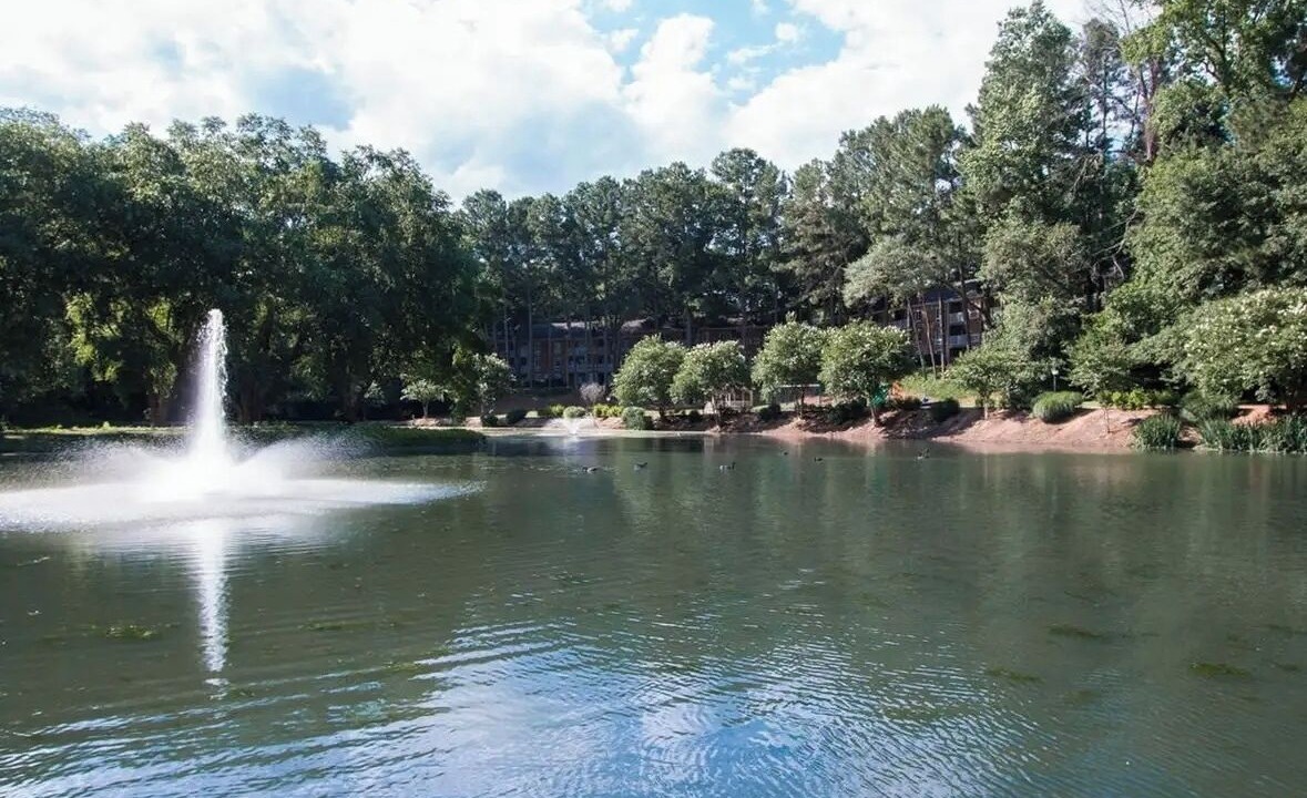 Photo of Others in North Druid Hills