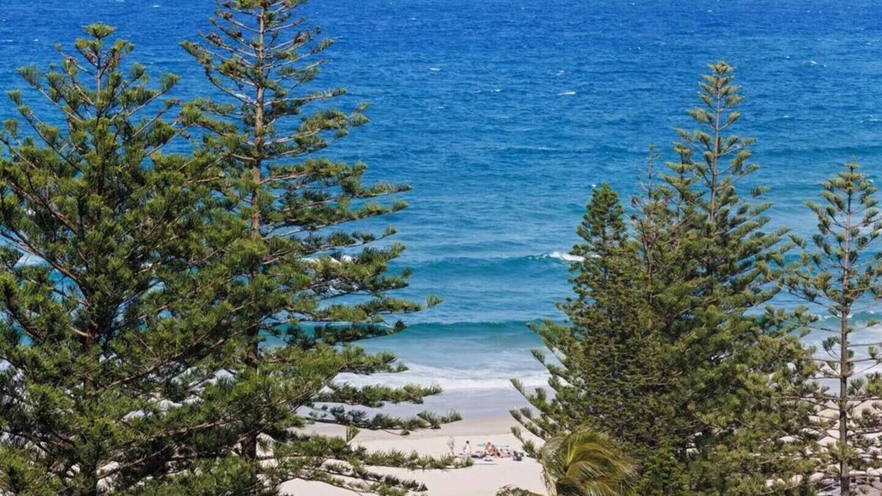 Photo of Others in Burleigh Heads