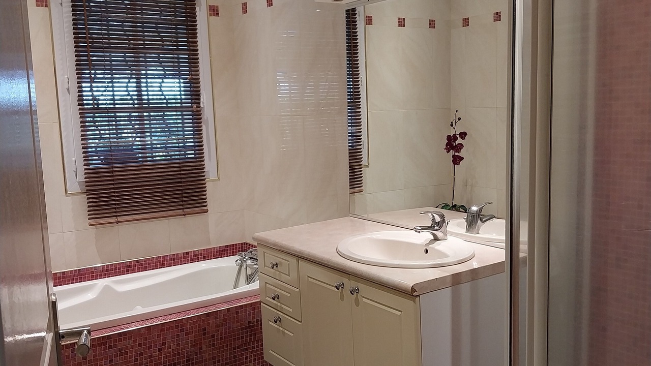 Photo of Bathroom in Saint-Branchs