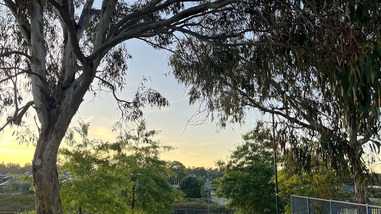 Photo of Outdoor in Mount Barker