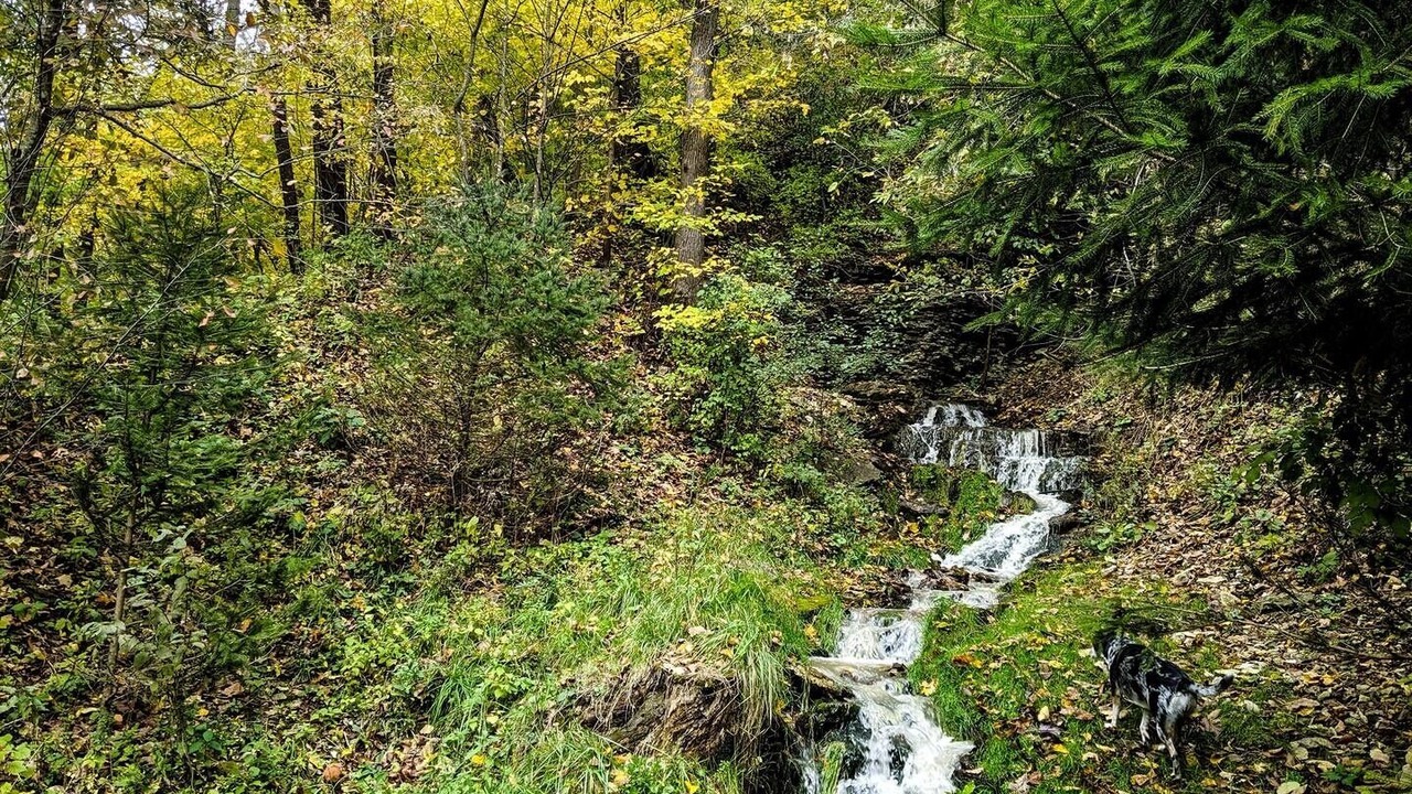 Photo of Others in Decorah