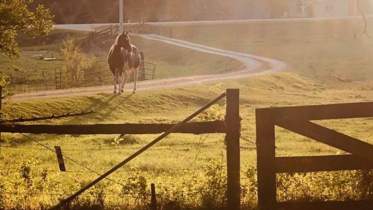 Photo of Others in Decorah