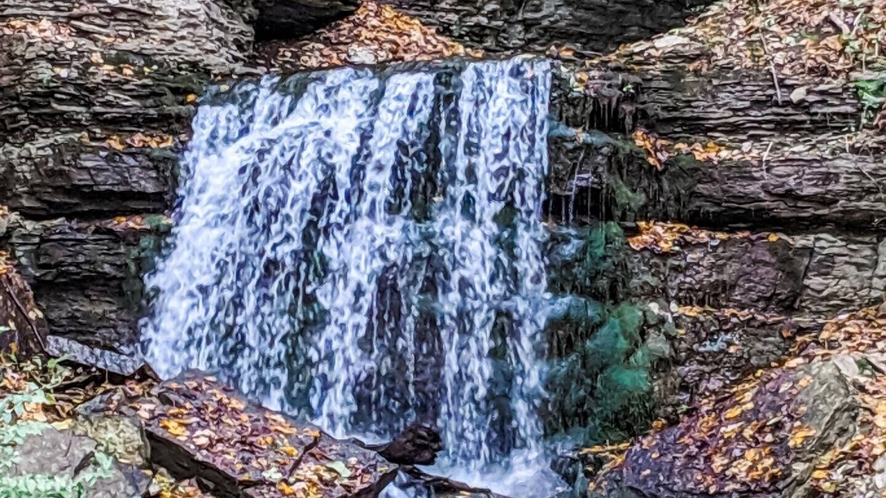 Photo of Others in Decorah