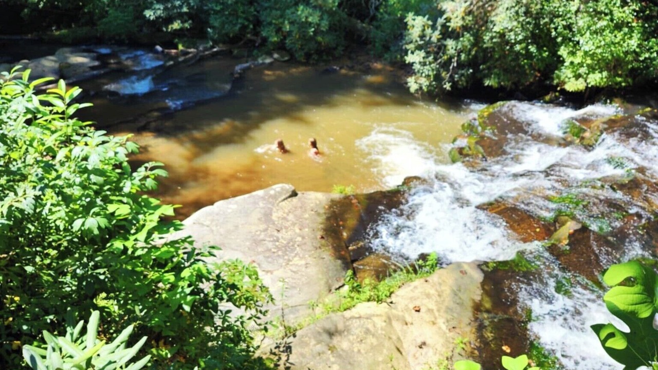 Photo of Others in Wiley