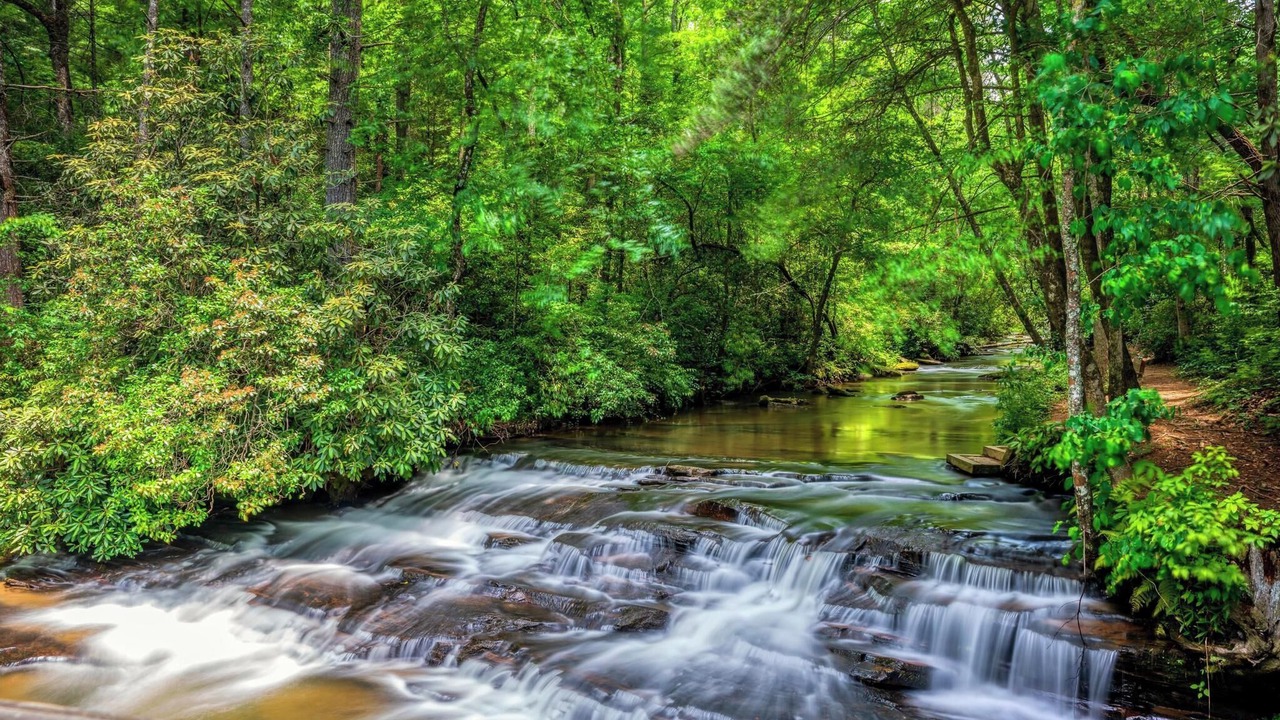 Photo of Others in Wiley