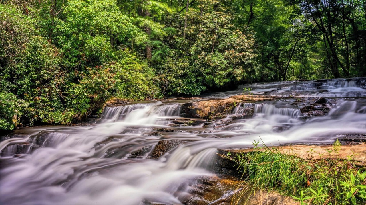 Photo of Others in Wiley