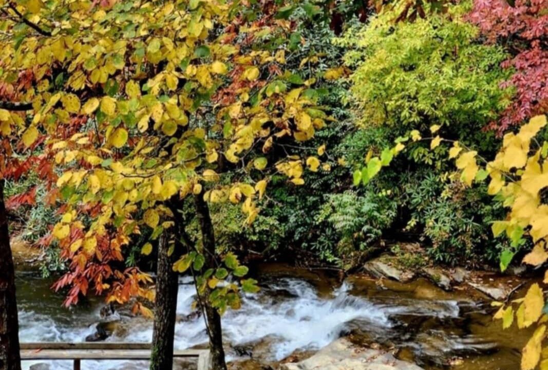 Photo of Others in Wiley