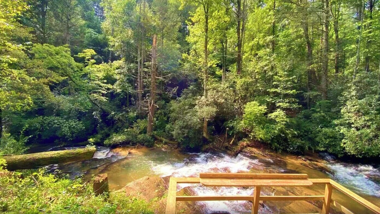 Photo of Others in Wiley