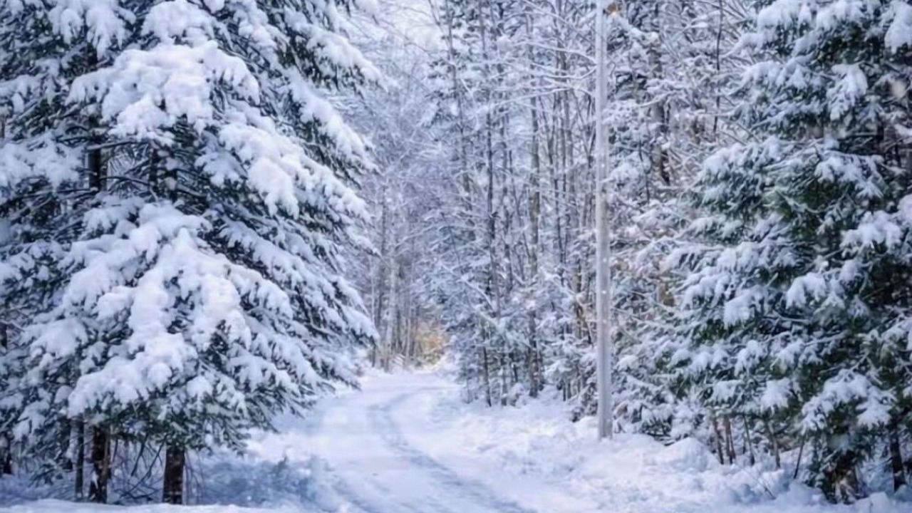 Photo of Others in Wardsboro
